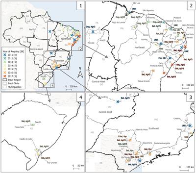 Cat rabies in Brazil: a growing One Health concern